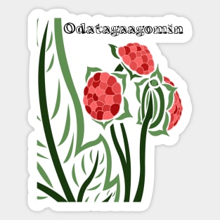 Thimbleberry (Odatagaagomin) Sticker